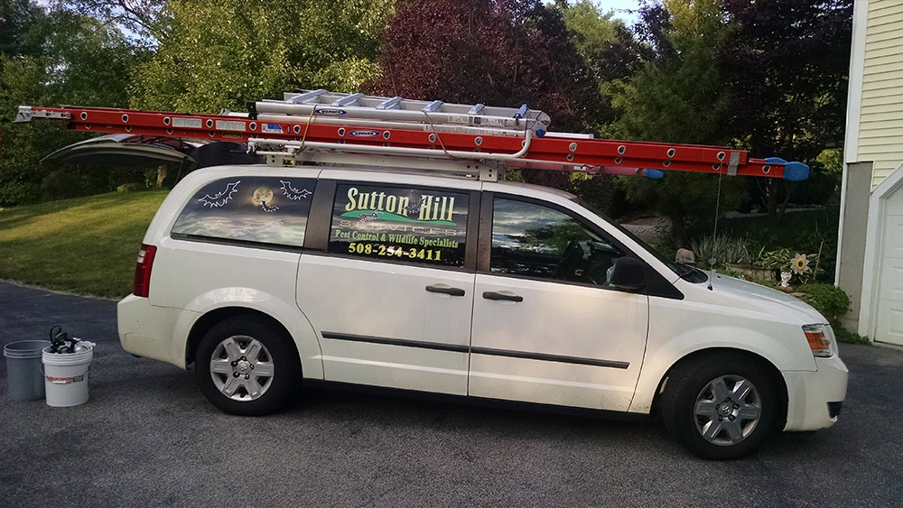 Sutton Hill Services - Pest Control in Massachusetts