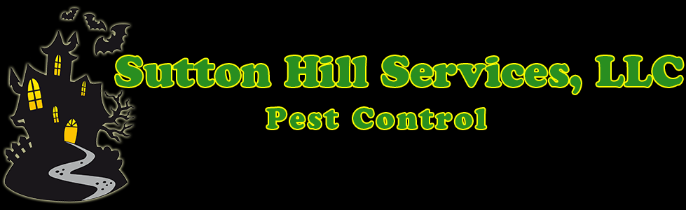 Sutton Hill Services